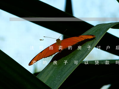 法院拍卖的房子过户后可以贷款吗(买法院拍卖的房子可以贷款吗)