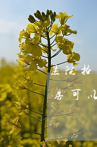 法院拍卖的房改房可以买吗(法院拍卖的房改房可以买吗) 法院拍卖的房改房可以买吗(法院拍卖的房改房可以买吗)