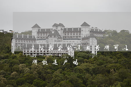 法院拍卖的汽车号牌可以过户吗(法院拍卖车牌能过户吗)