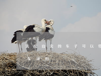 法院拍卖的车子可以带牌照吗(法院拍卖车带车牌吗)