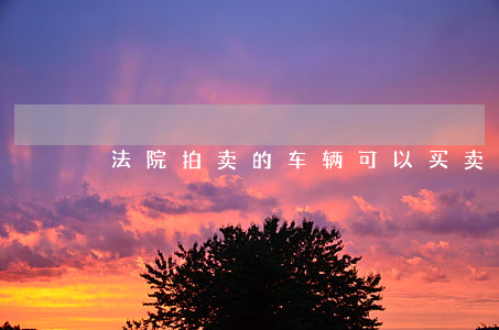 法院拍卖的车辆可以买卖吗