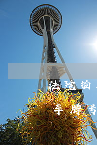 法院拍卖的车辆车牌可以过户吗(法院拍卖的车牌号能过户吗)