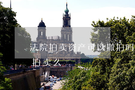 法院拍卖资产可以撤拍吗(撤回拍卖后能重新拍卖么)