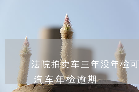 法院拍卖车三年没年检可以买吗(司法拍卖的汽车年检逾期)