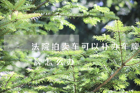 法院拍卖车可以补办车牌吗(法院拍卖的车车牌怎么办)