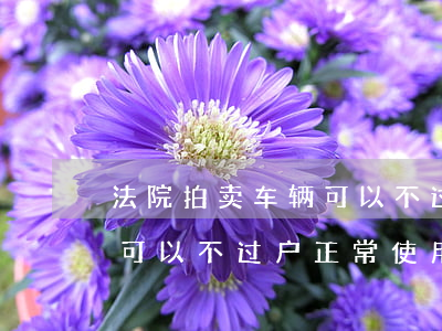 法院拍卖车辆可以不过户使用吗(法院拍卖车可以不过户正常使用吗)