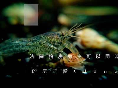法院拍房房主可以同時(shí)買嗎(法拍的房子當(dāng)事人可以購(gòu)買嗎)