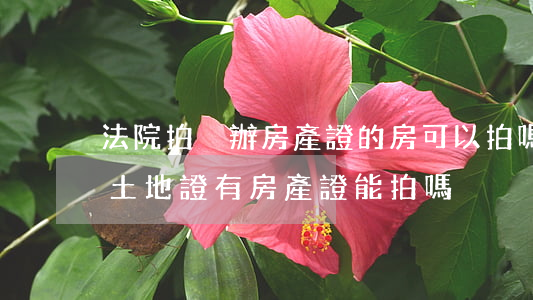法院拍沒辦房產證的房可以拍嗎(法拍房沒有土地證有房產證能拍嗎?)