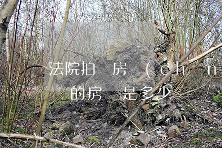 法院拍買房產(chǎn)稅怎么做(法院拍賣的房稅是多少)