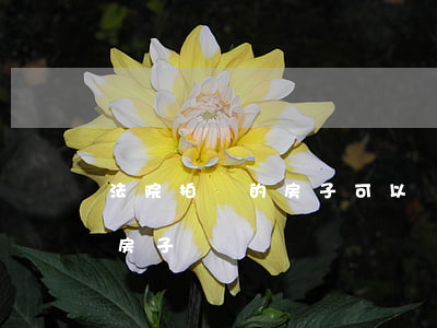 法院拍買的房子可以買嗎(怎樣去法院買拍買房子)