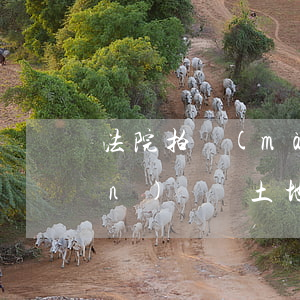 法院拍賣(mài)土地可以轉(zhuǎn)讓嗎(土地使用權(quán)可以拍賣(mài)嗎)