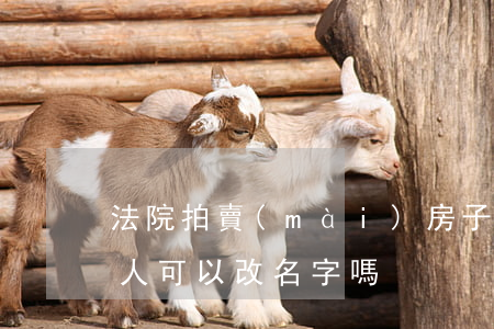 法院拍賣(mài)房子競(jìng)拍人可以改名字嗎