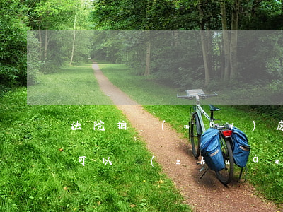 法院拍賣(mài)房產(chǎn)以后可以轉(zhuǎn)賣(mài)嗎(法院拍賣(mài)房再賣(mài)好賣(mài)嗎)