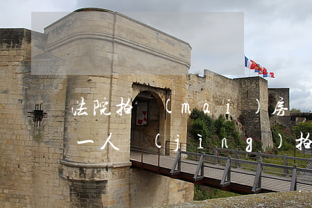 法院拍賣(mài)房產(chǎn)只有一人競(jìng)拍可以嗎(如果只有一套房產(chǎn)法院可以拍賣(mài)嗎)