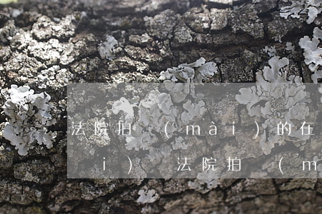 法院拍賣(mài)的在建工程可以買(mǎi)嗎(法院拍賣(mài)的在建工程怎么過(guò)戶(hù))