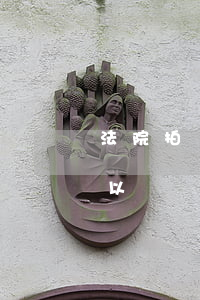法院拍賣(mài)的車(chē)牌照可以繼續(xù)用嗎(車(chē)牌號(hào)可以拍賣(mài)嗎?)
