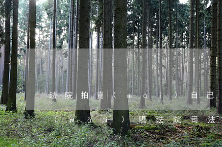 法院拍賣(mài)自己的房子可以自己買(mǎi)嗎(法院司法拍賣(mài)的房子能買(mǎi)嗎)