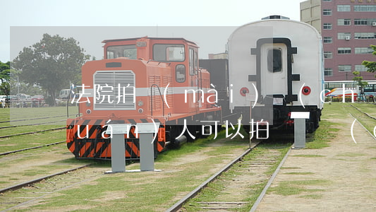 法院拍賣(mài)車(chē)債權(quán)人可以拍嗎(債權(quán)法拍車(chē)能買(mǎi)嗎)