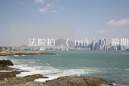法院拍賣(mài)逾期按揭房的流程
