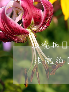 法院拍賣一套房子可以嗎(就一套房子可以被法院拍賣嗎)