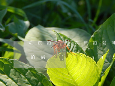 法院拍賣一次流拍就可以變賣嗎(法院拍賣流拍后進(jìn)入變賣是否會降價)