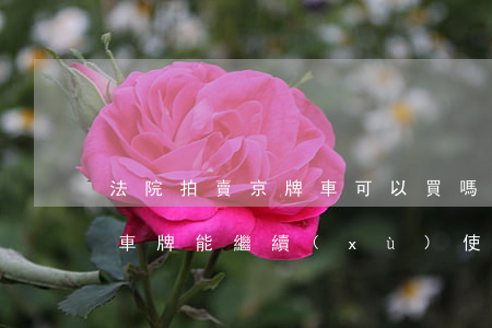 法院拍賣京牌車可以買嗎(北京法院拍賣車的車牌能繼續(xù)使用嗎)