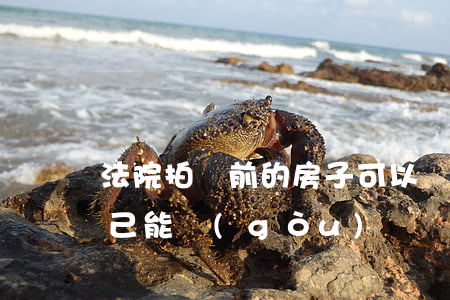 法院拍賣前的房子可以買嗎(法院拍賣房子自己能購(gòu)買嗎)