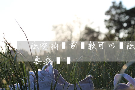 法院拍賣前還款可以嗎(法院拍賣房子房貸還要我還嗎)