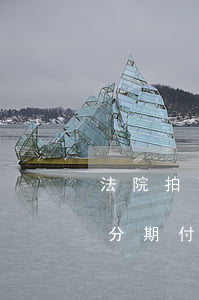 法院拍賣可以做分期付款嗎(法院拍賣可以做分期付款嗎)
