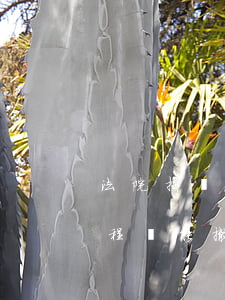 法院拍賣可以撤訴嗎(進(jìn)入拍賣流程還能撤訴嗎)