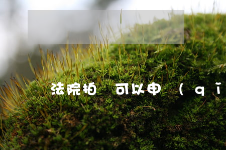 法院拍賣可以申請(qǐng)停止拍賣嗎