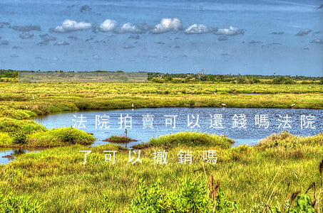 法院拍賣可以還錢嗎(法院拍賣前的房子還錢了可以撤銷嗎)