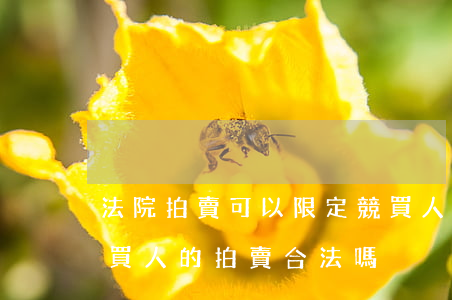 法院拍賣可以限定競買人資格嗎(只有一個競買人的拍賣合法嗎)