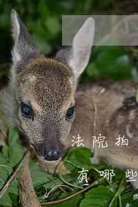 法院拍賣后的車庫可以賣嗎(法院拍賣的車庫有哪些交易費用)