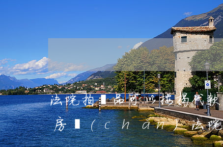 法院拍賣品可以按揭代款嗎(借款人有按揭的房產(chǎn),法院可以拍賣嗎)