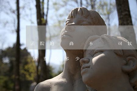 法院拍賣商鋪不過戶可以嗎(法院拍賣的門面房要交多少錢過戶)