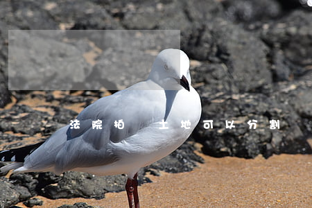 法院拍賣土地可以分割嗎(土地可以分割出讓嗎?)