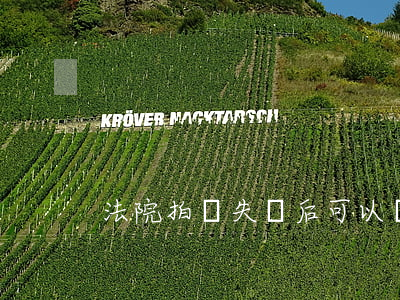 法院拍賣失敗后可以繼續(xù)保全嗎