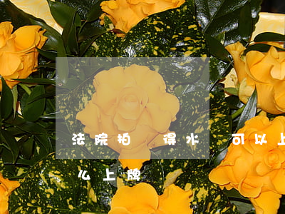 法院拍賣得水車可以上牌嗎(法院拍賣的車怎么上牌)