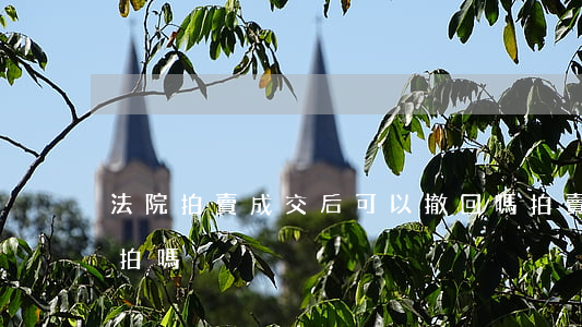 法院拍賣成交后可以撤回嗎(拍賣成功還能撤拍嗎)
