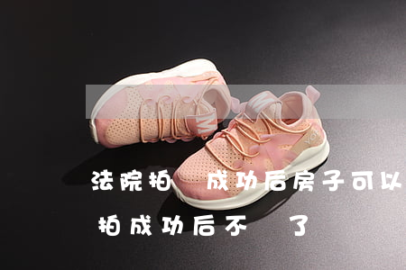 法院拍賣成功后房子可以退嗎(法院拍賣房子拍成功后不買了)