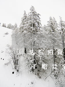 法院拍賣房付全款后可以按揭嗎(法院拍賣房子需要全款嗎)