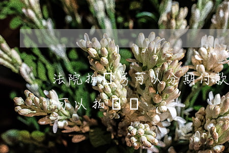 法院拍賣房可以分期付款嗎(銀行按揭房法院可以拍賣嗎)