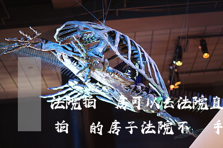 法院拍賣房可以去法院直接付款嗎(買了法院拍賣的房子法院不辦手續(xù)怎么辦)