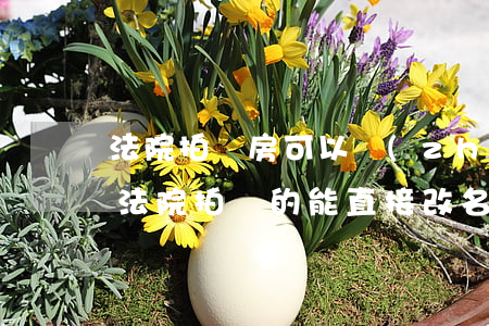 法院拍賣房可以轉(zhuǎn)讓更名嗎(法院拍賣的能直接改名字嗎)