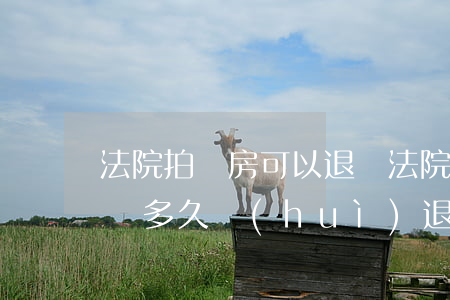 法院拍賣房可以退嗎(法院拍賣房子后多余的錢多久會(huì)退)