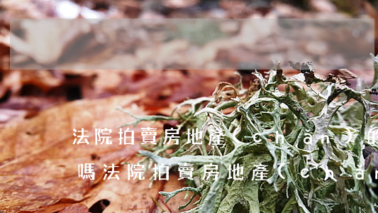 法院拍賣房地產(chǎn)的房子可以買嗎(法院拍賣房地產(chǎn)的房子可以買嗎)