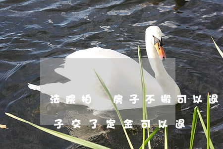 法院拍賣房子不搬可以退錢嗎(法院拍賣的房子交了定金可以退嗎?)