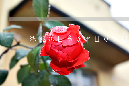 法院拍賣房子中間可以還錢嗎