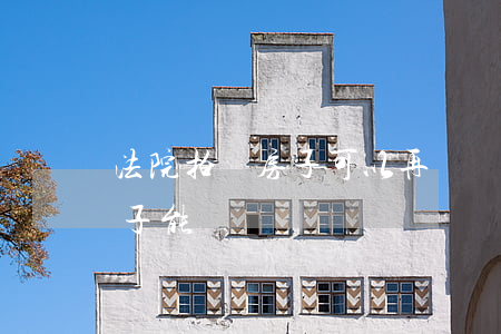 法院拍賣房子可以再賣嗎(法院司法拍賣的房子能買嗎)